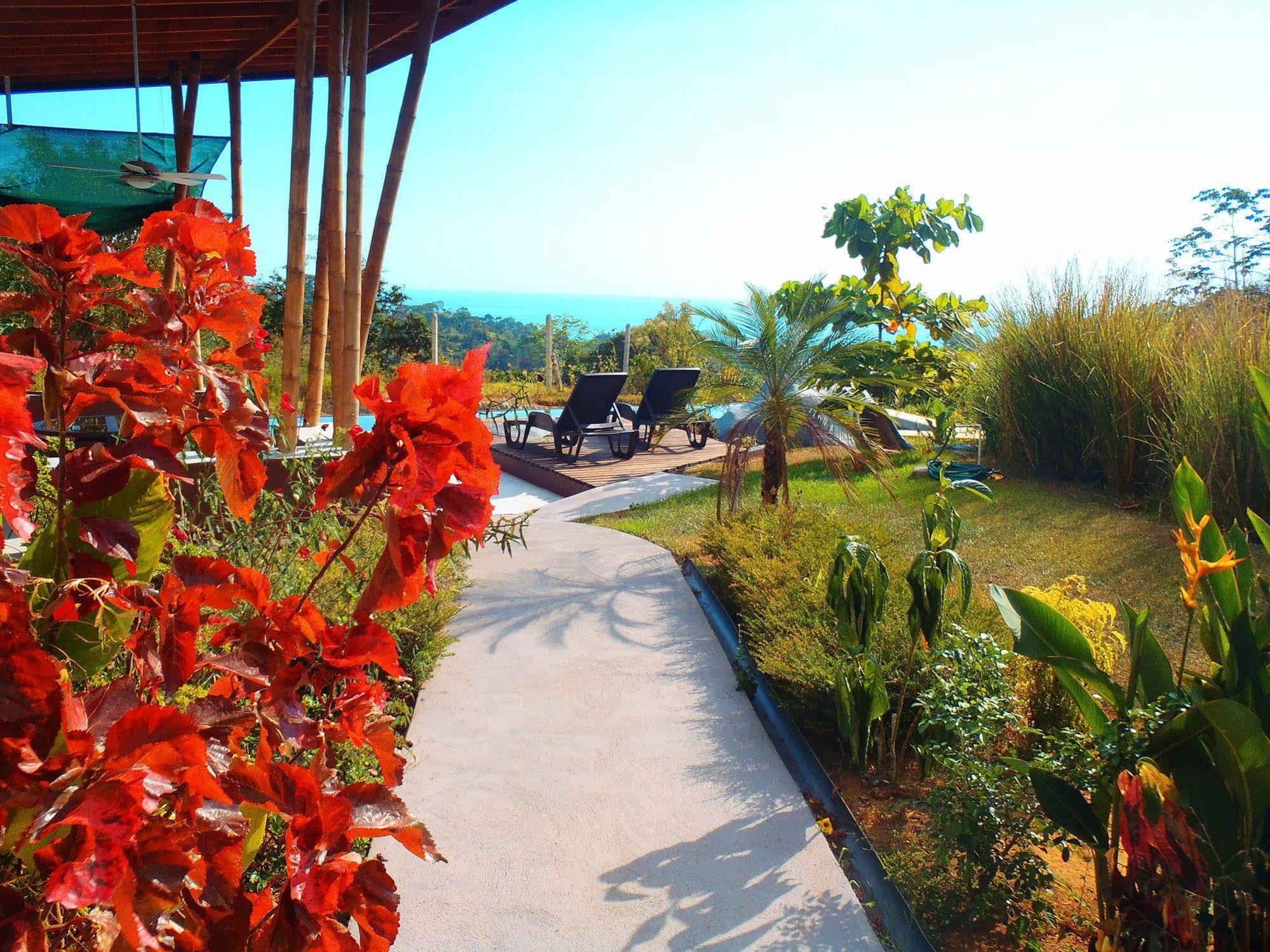 Eden Tica Lodge Uvita Exterior photo