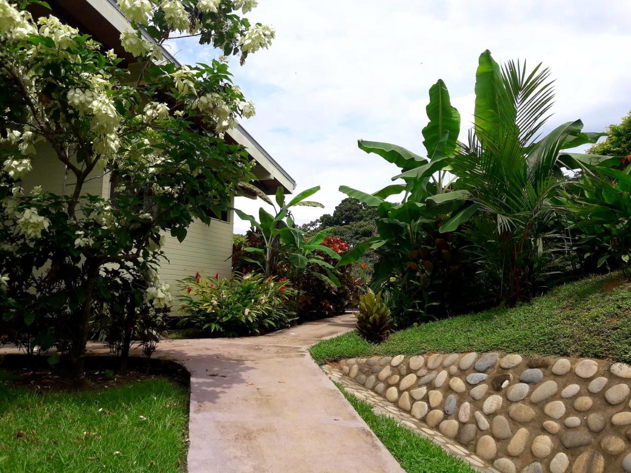 Eden Tica Lodge Uvita Exterior photo
