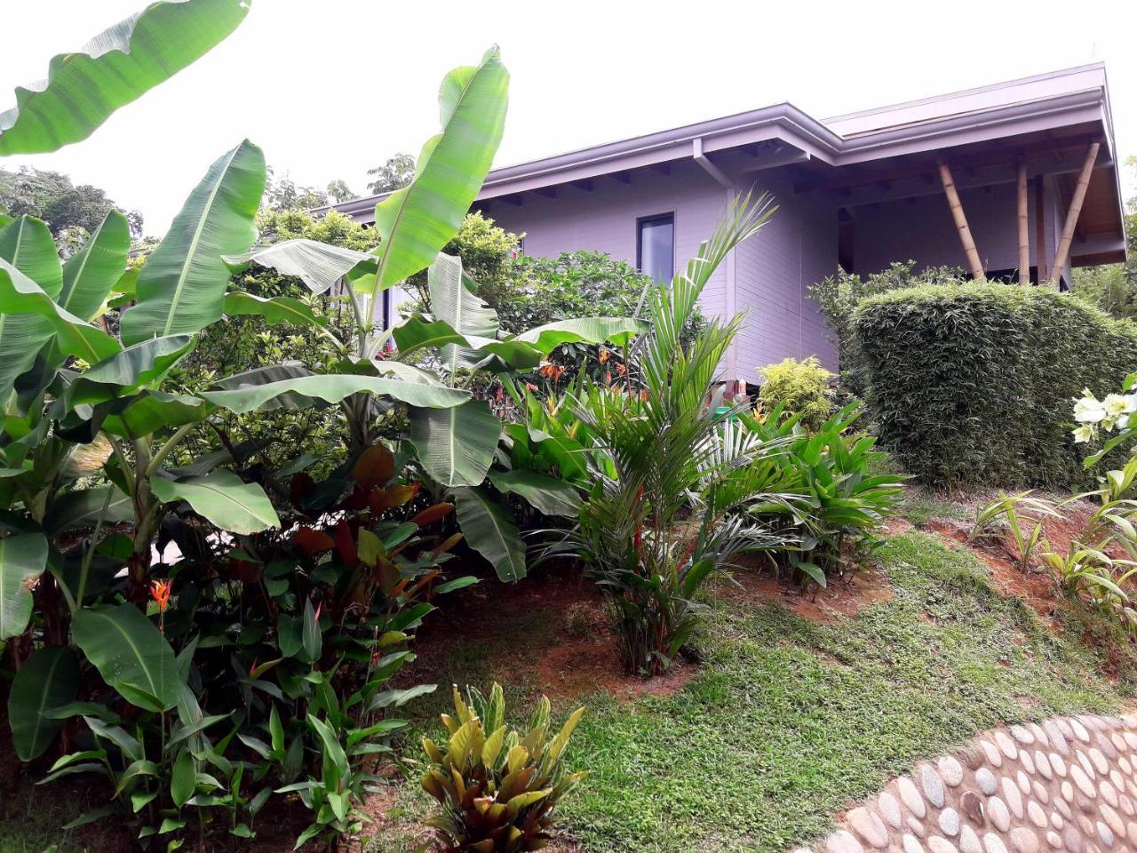 Eden Tica Lodge Uvita Exterior photo